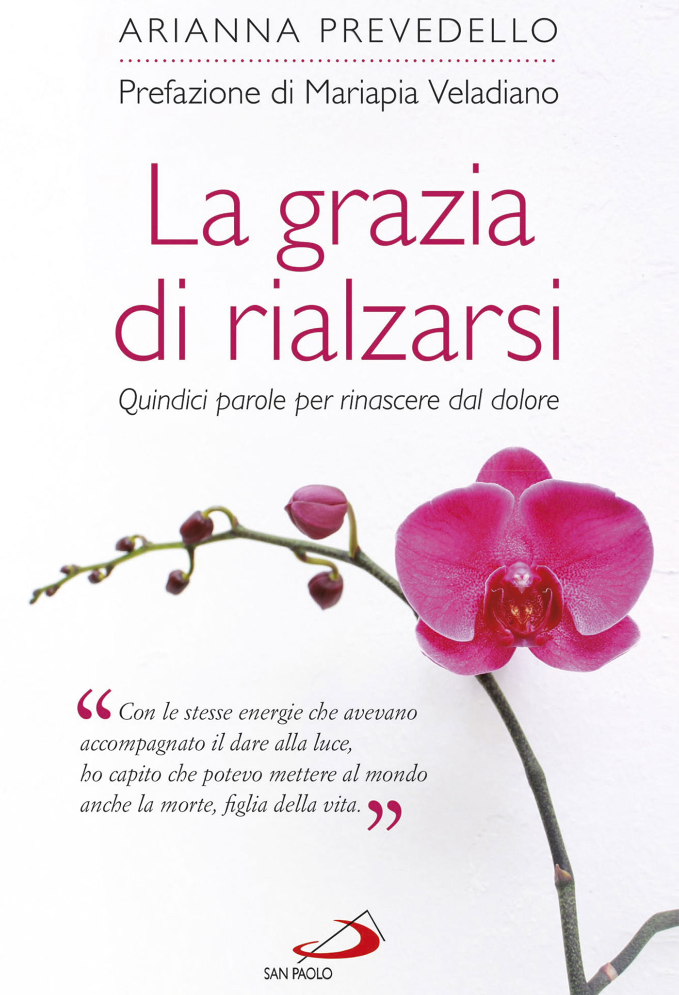 LA GRAZIA DI RIALZARSI
